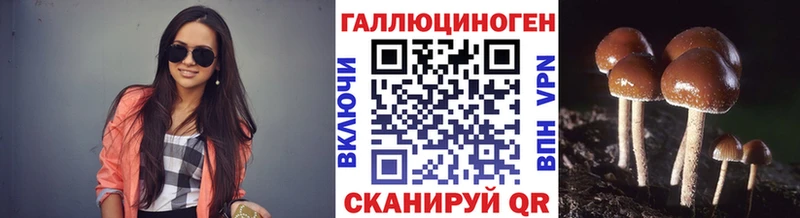 Галлюциногенные грибы Cubensis Солнечногорск